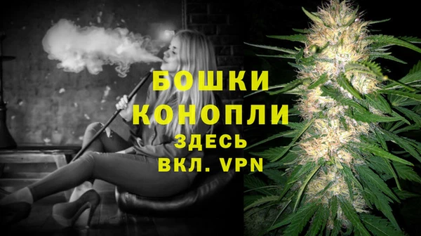 шишки Вяземский
