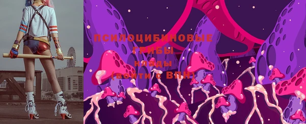 ECSTASY Вязьма