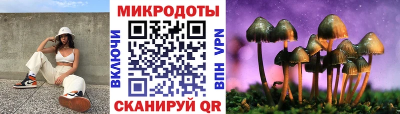 Купить  Починок  Галлюциногенные грибы мицелий 
